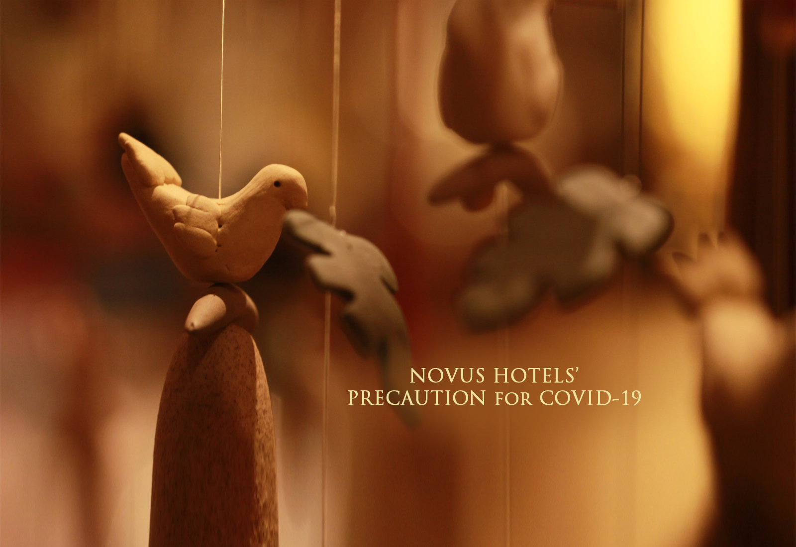 Novus Hotels precautions for COVID-19